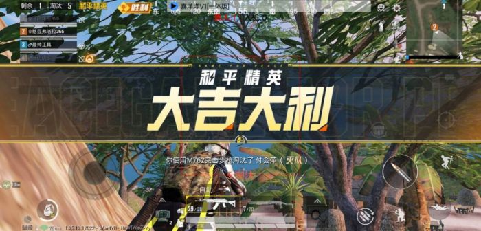 和平精英科技24小时自助下单 - 高效辅助购买平台